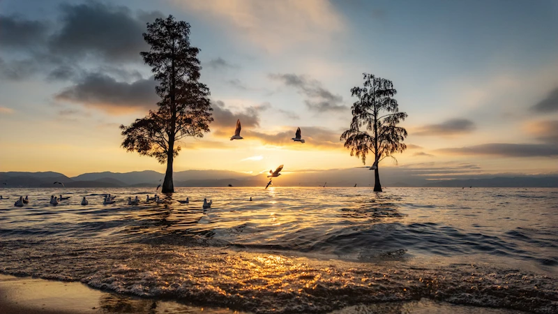 Il mio Viaggio in Yunnan – Seconda Parte erhai lake