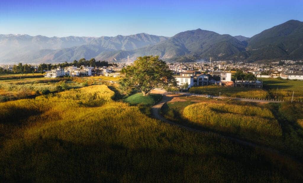 Travel Guide to Yunnan old tree xizhou 1