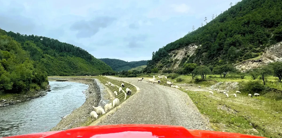 Il mio Viaggio in Yunnan - Prima Parte yunnan road e1768444879230