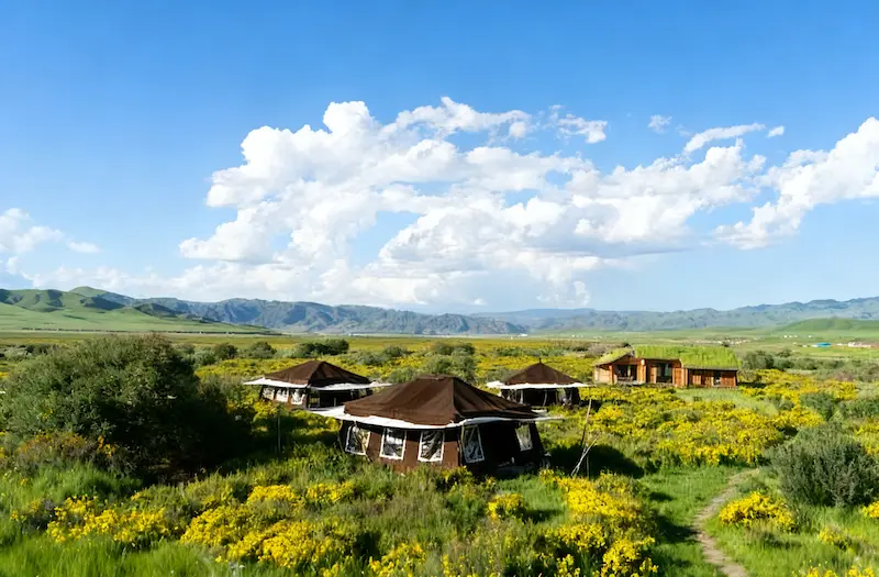 Discover Norden Camp: A Sustainable Stay Rooted in Nomadic Wisdom norden camp