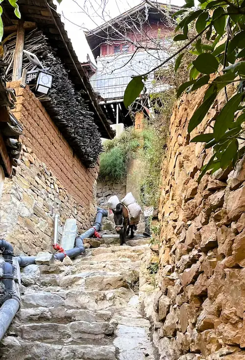 A Photographic Journey Through Rural Yunnan donkey baoshan stone village
