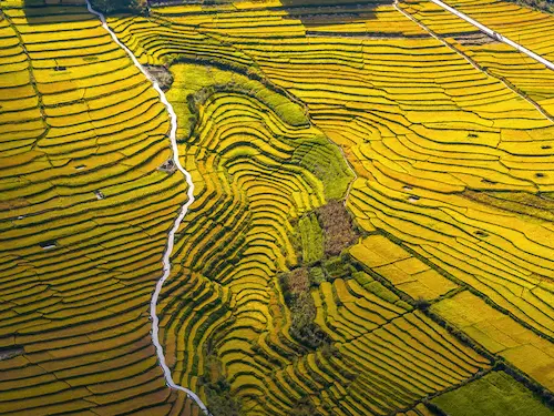 Travel Guide to Yunnan fields bingzhongluo autumn