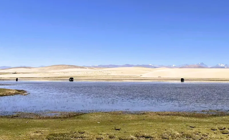 Travel Guide to Tibet Travel Guide to Tibet