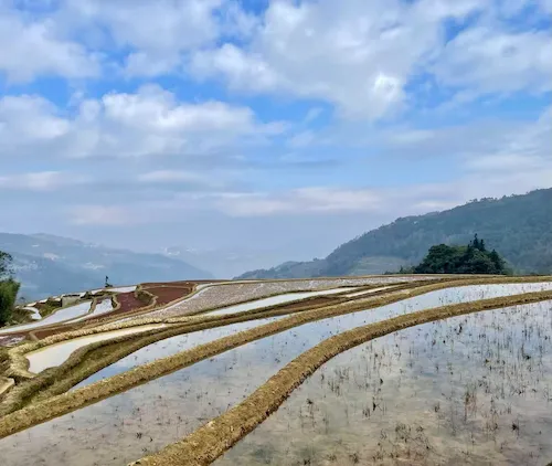 A Photographic Journey Through Rural Yunnan rice fields yunnan 1