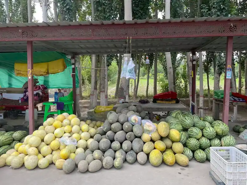 Travel Guide to Southern Xinjiang xinjiang melons