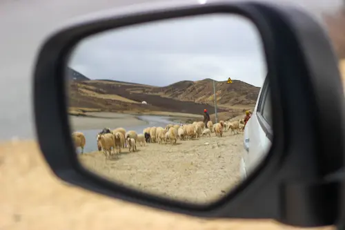 Mount Gongga & G318: The Untamed Frontier 317