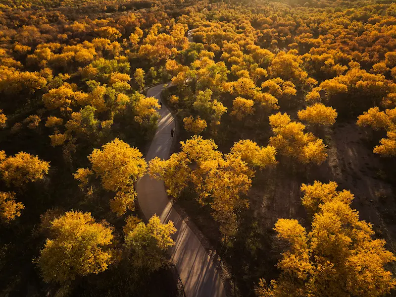 Tashkurgan & South Xinjiang Tour: Echoes of Ancient Caravans JinHuYang Xingjian