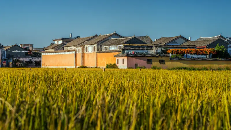 Yunnan Travel Adventures Xizhou