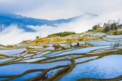 YuanYang rice terraces