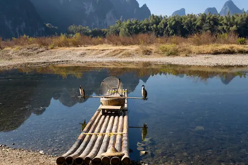Discover Li River Guilin To Yangshuo & Beyond! cormorant fishing yangshuo