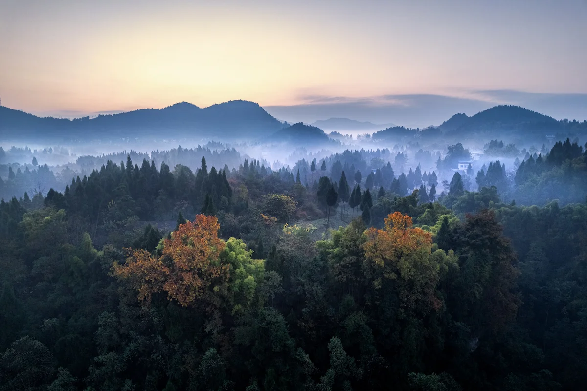 Jiuzhaigou National Park to Wolong Panda Reserve forest sichuan