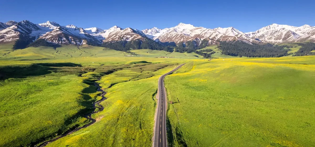 Scopri lo Xinjiang grassland north xinjiang e1776236327696