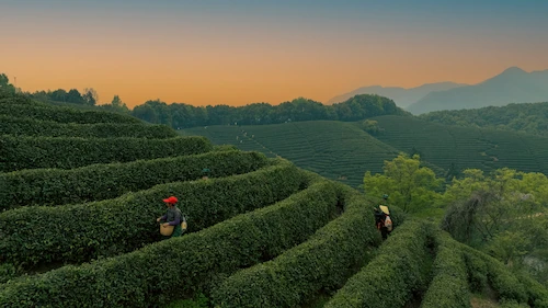 Exclusive Package Tour To Shanghai & Beyond! longjin hills 1