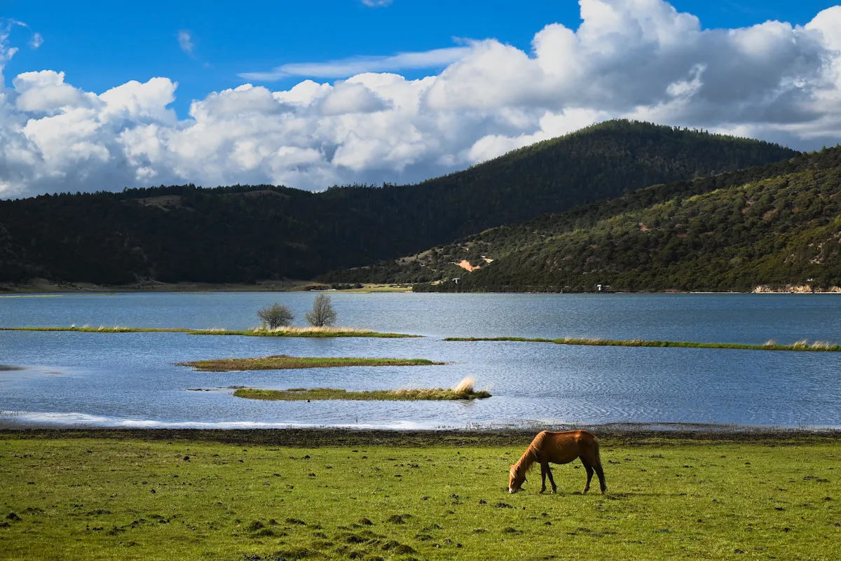 Best Time To Visit China: An Expert Guide napa prairie shangrila 1