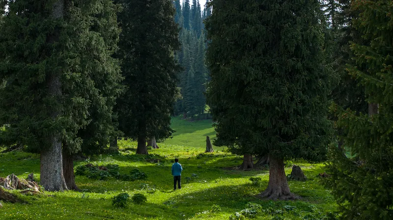 Best Tailor-Made China Tours narat grassland xinijang 4