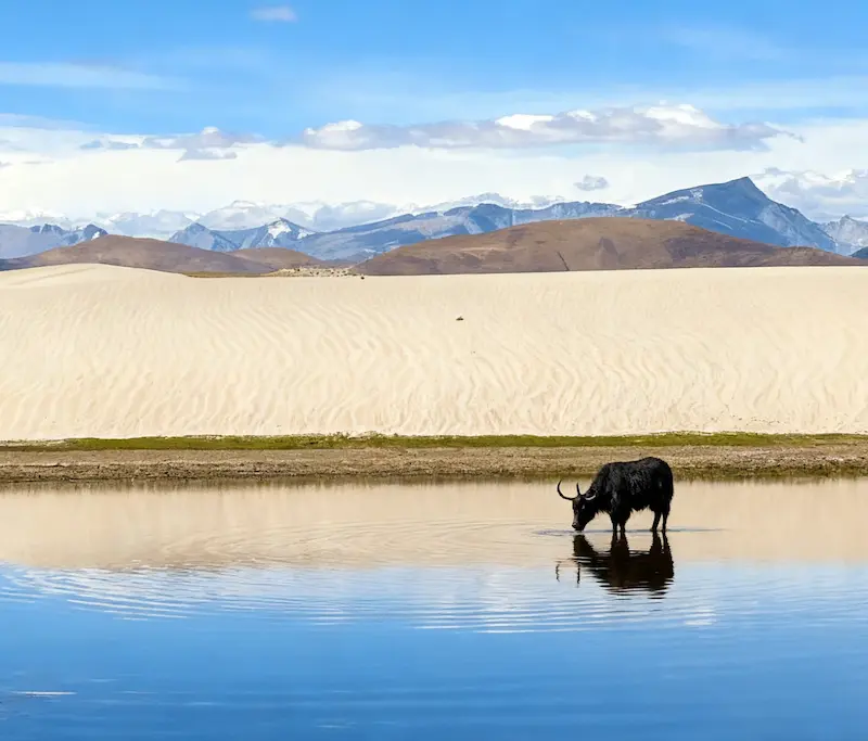 Lhasa Potala To Base Camp Mount Everest: A Soulful Journey payrang dunes tibet