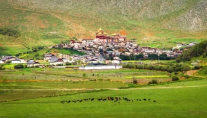 Taste of Tradition: A Journey At The Foot Of Songzanlin Monastery In Shangri-La