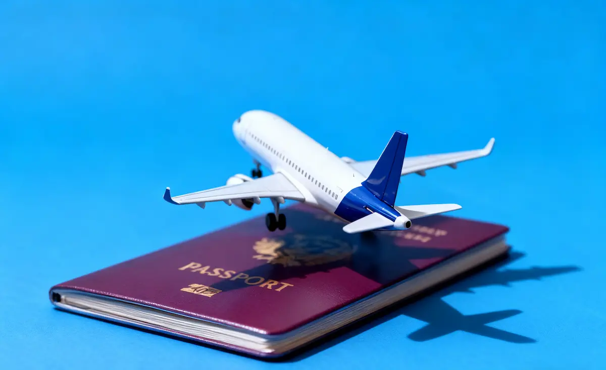 VISA Guidelines visa page 2