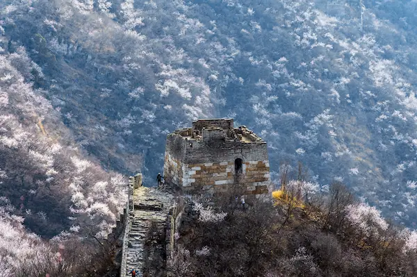 Private Tour Beijing To Great Wall wild great wall