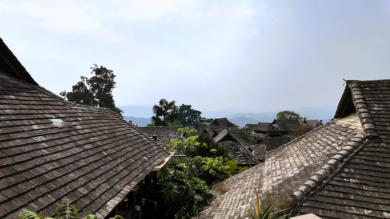 Alla scoperta del Monte Jingmai e del Tè Millenario jingmai mountain2