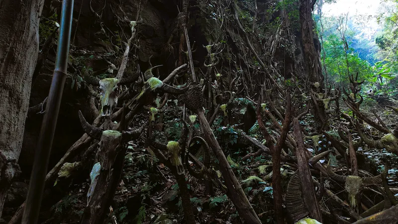 Viaggio a Longmoye: Dove Gli Spiriti si Adunano Longmoye