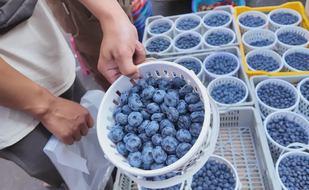 Un Viaggio a Xishuangbanna: Templi, Mercati e Battaglie d’Acqua xishuangbanna market e1773155507403