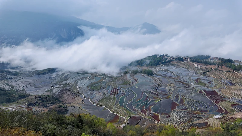 Yuanyang e le Terrazze di Riso Hani: un Mosaico di Terra, Acqua e Cielo Yuanyang rice terraces