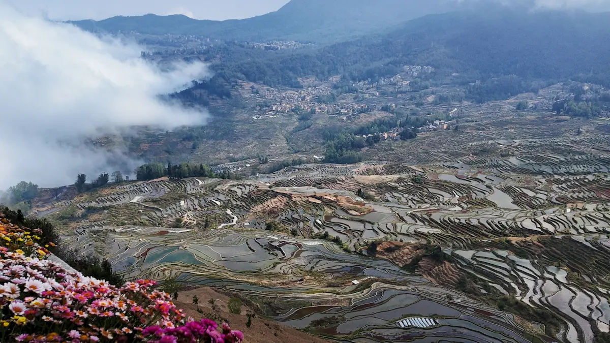 Yuanyang e le Terrazze di Riso Hani: un Mosaico di Terra, Acqua e Cielo Terrazze di riso Hani