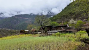 Bingzhongluo: Dove gli Dei e gli Uomini Convivono