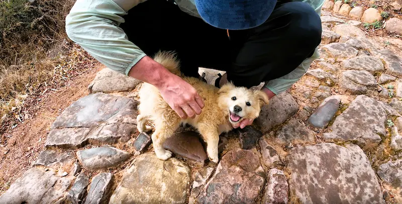 Viaggio a Nuodeng: il Villaggio del Sale sul Pendio delle Tigri nuodeng 6
