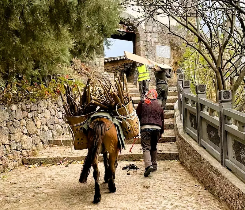 Discovering Baoshan Stone Village and the Jade River mules baoshan stone village yunnan