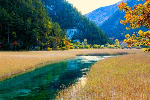 The Grand Panorama | 16-Day Private China Itinerary autumn scenery jiuzhaigou
