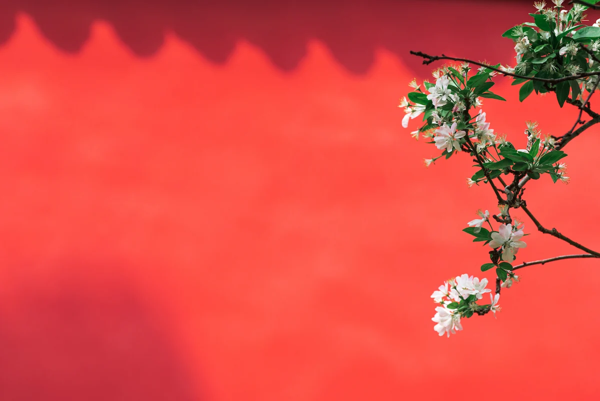 China Itineraries | Recommended Travel Routes begonia flowers blooming beijing 1