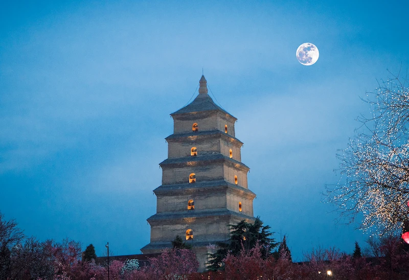 The Grand Panorama | 16-Day Private China Itinerary giant wild goose pagoda