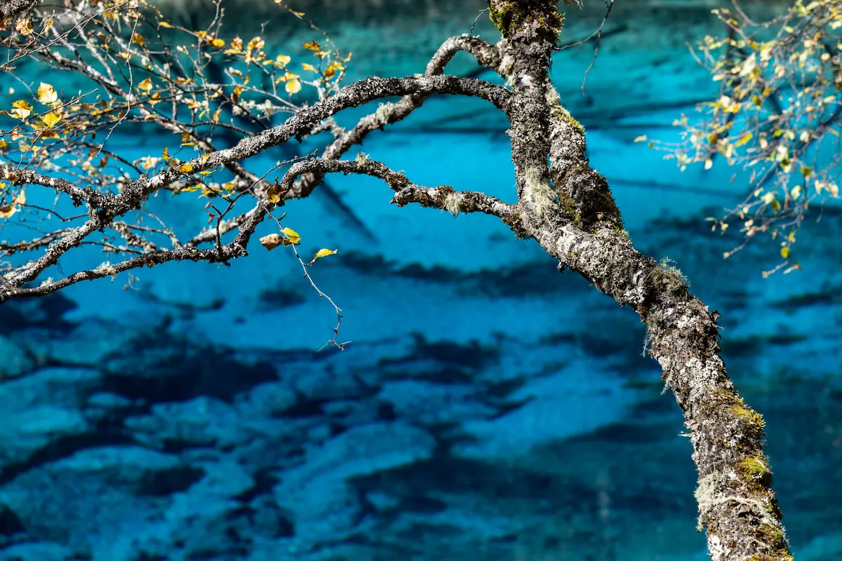 The Grand Panorama | 16-Day Private China Itinerary jiuzhaigou pristine lake