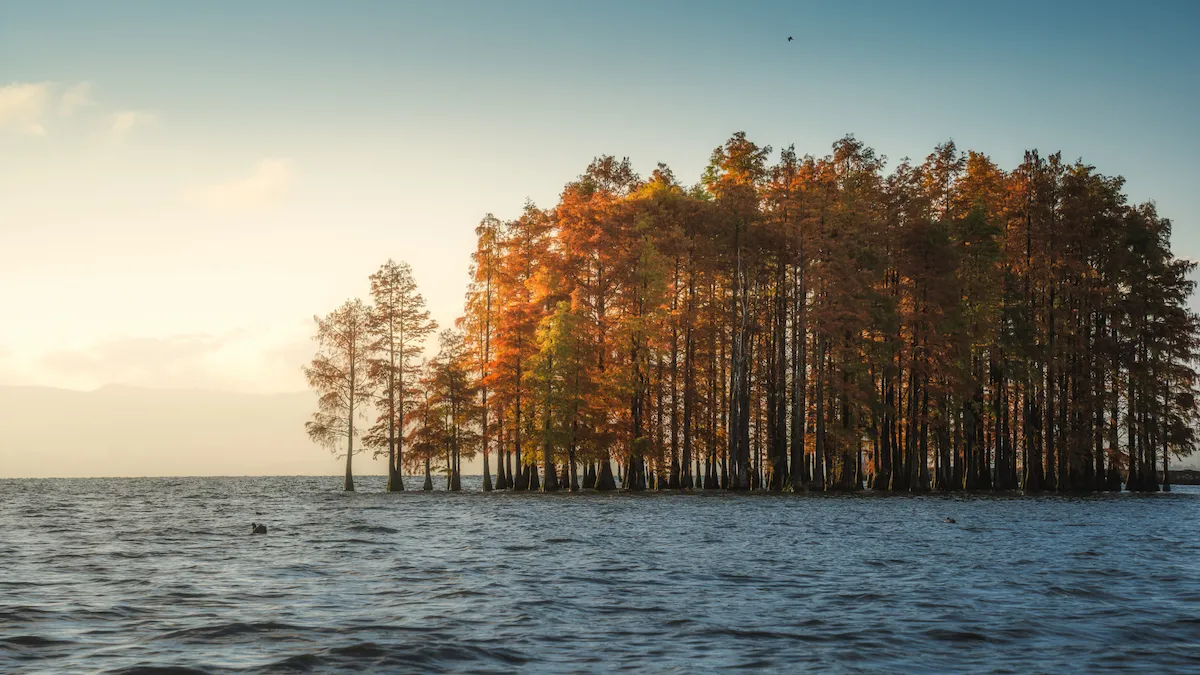 Independent China Travel Planning erhai lake trees